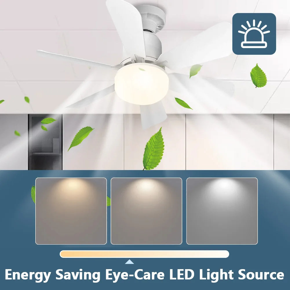 Small Ceiling Fan with Light & Remote