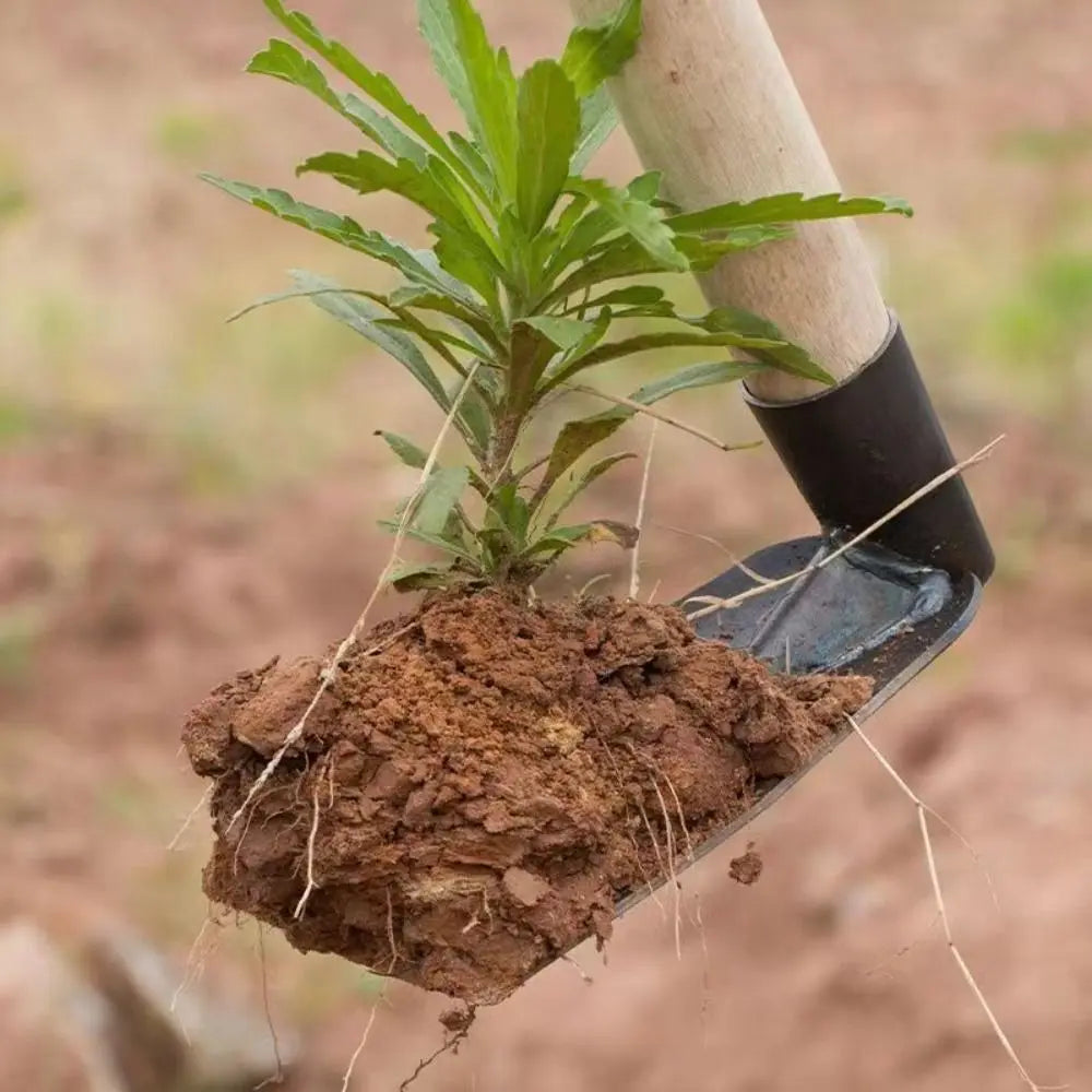 Forged Steel Garden Hoe for Digging & Weeding