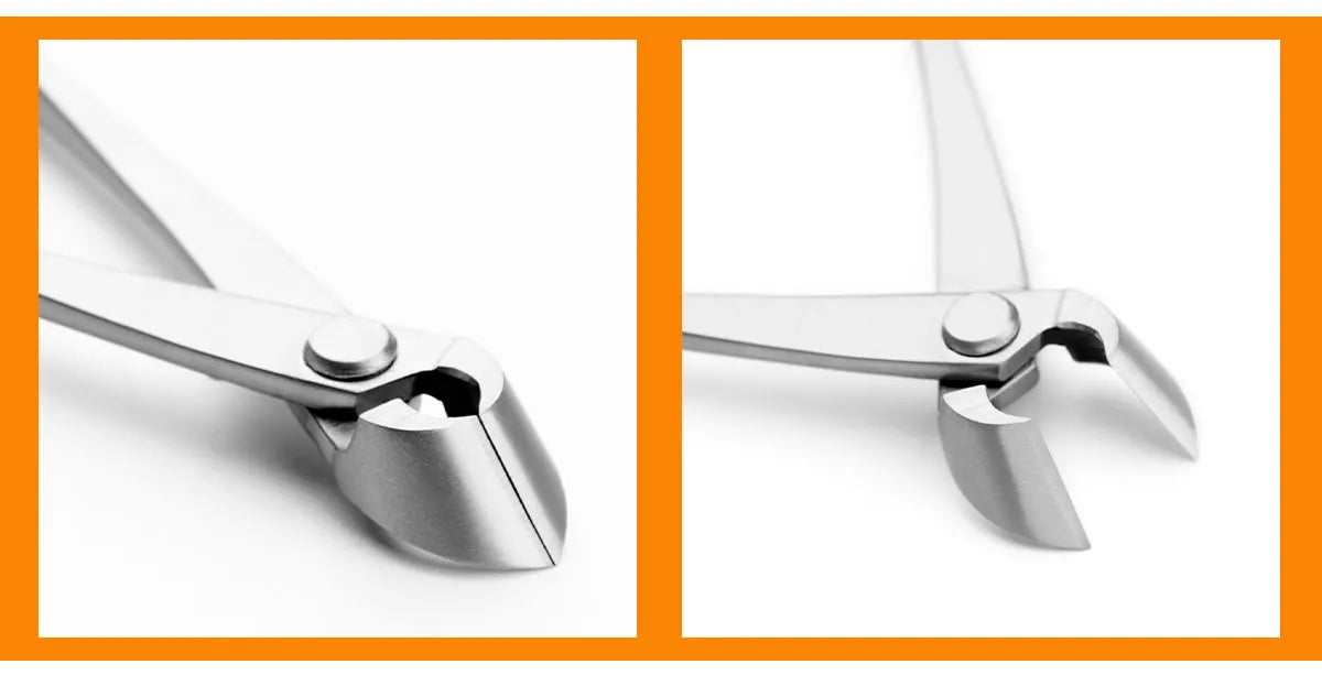 Straight Edge Bonsai Branch Cutter – 3Cr13 Steel