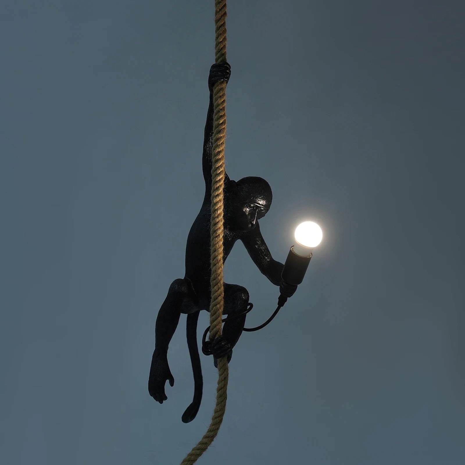 Creative Monkey Pendant Lamp