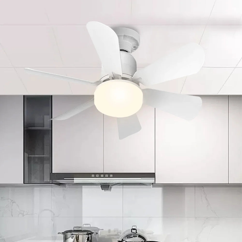 Small Ceiling Fan with Light & Remote