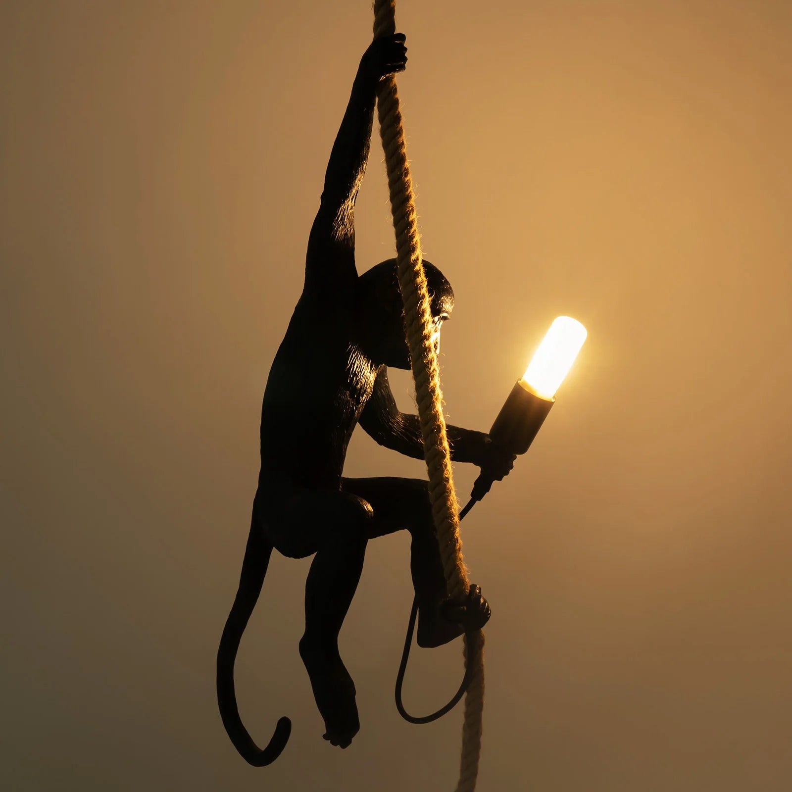 Creative Monkey Pendant Lamp