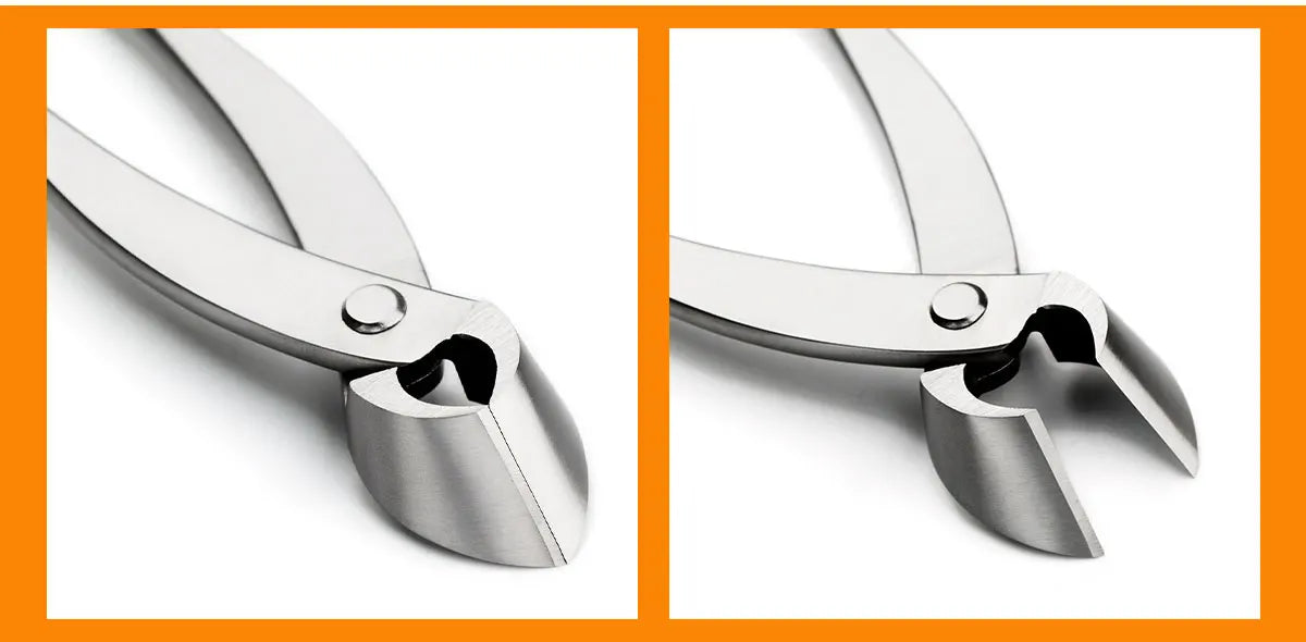 Straight Edge Bonsai Branch Cutter – 3Cr13 Steel