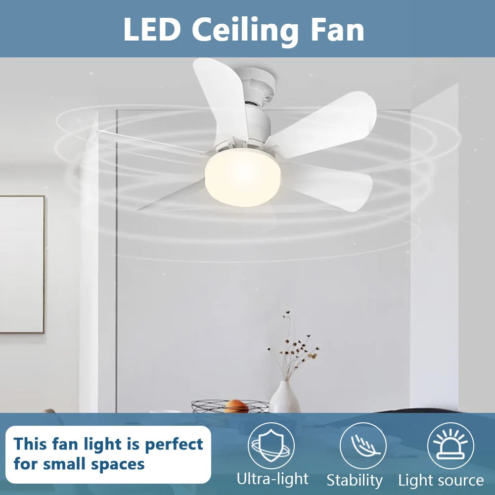 Small Ceiling Fan with Light & Remote