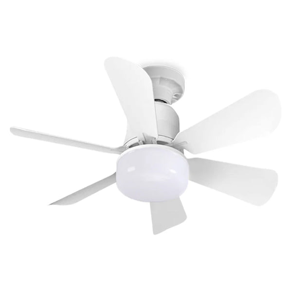Small Ceiling Fan with Light & Remote